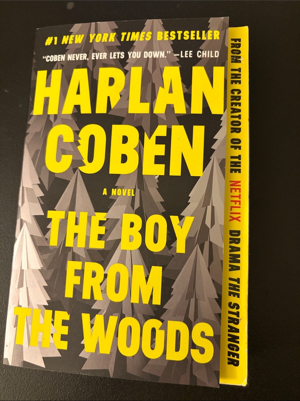 The Boy From The Woods by Harlan Coben